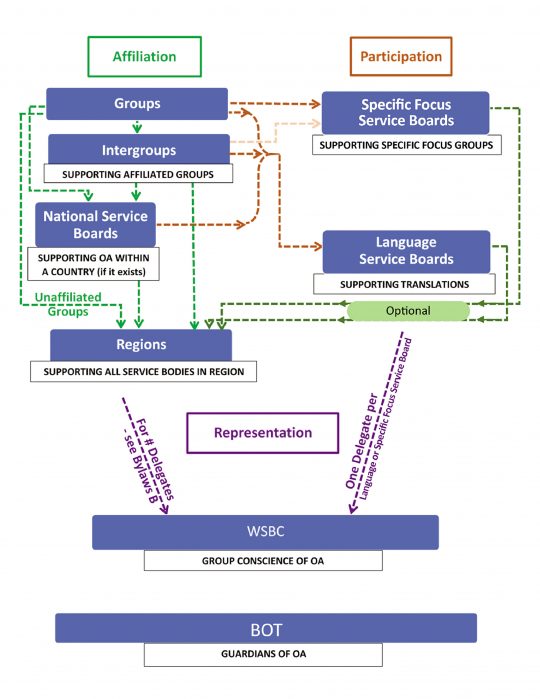 A flow chart mapping affiliation and participation between groups and service bodies in OA.