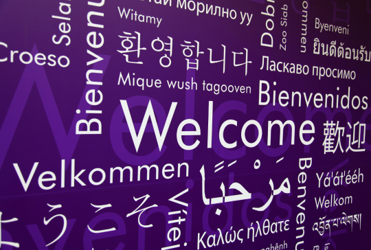 Updated: Translation Guidelines and OA Glossary