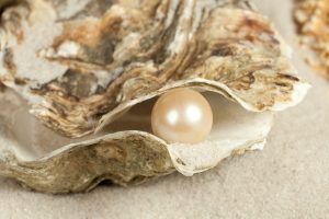 Oyster that has produced a pearl