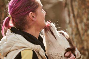 Large dog giving woman a kiss on the chin