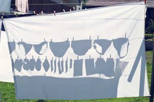 Underwear hanging on a clothesline.