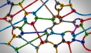Taught ropes connected in a network